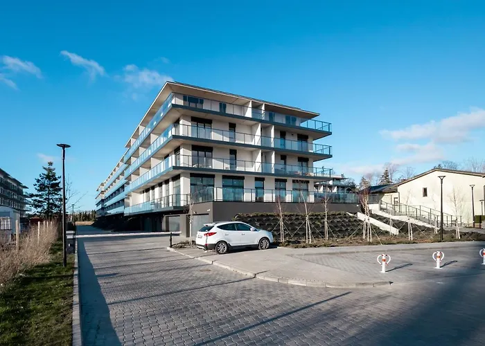 La Vida Loca Basen Sauny