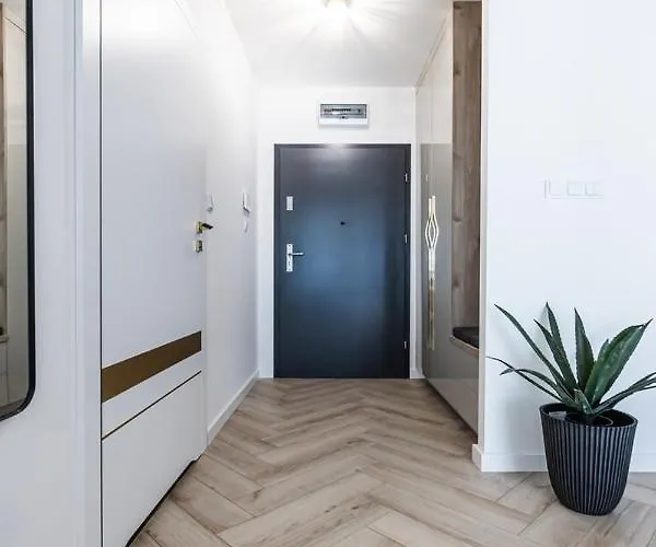 La Vida Loca Basen Sauny